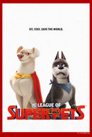 Junior's DC League of Super-Pets Krypto and Ace Poster T-Shirt