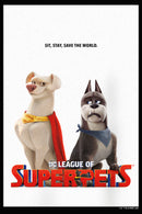 Junior's DC League of Super-Pets Krypto and Ace Poster Racerback Tank Top