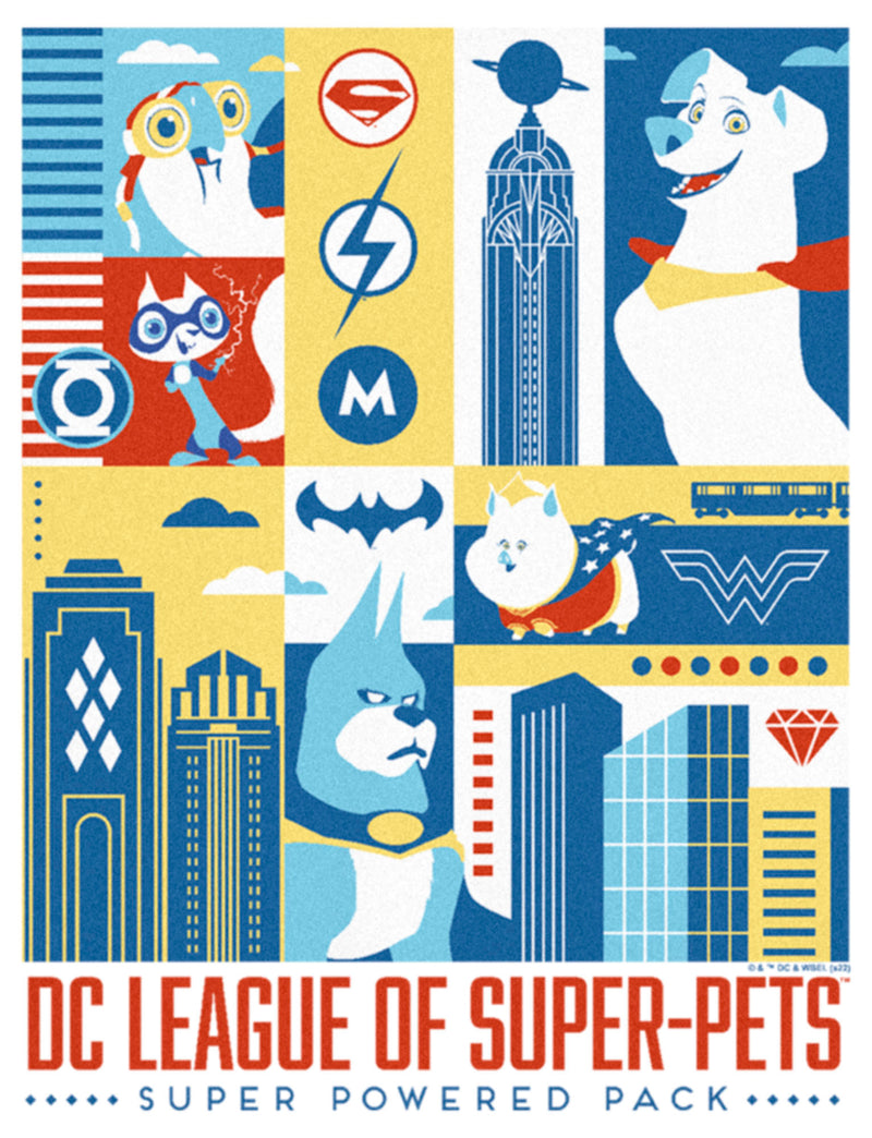 Junior's DC League of Super-Pets City Character Panels T-Shirt