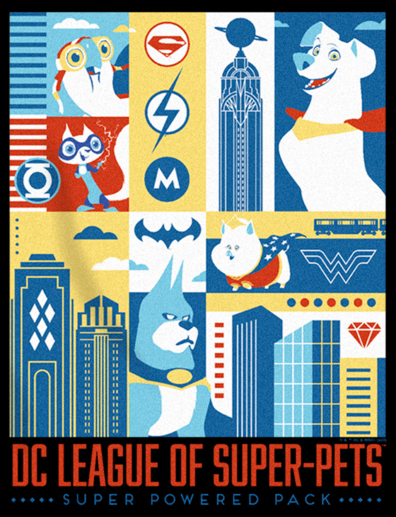 Boy's DC League of Super-Pets City Character Panels Pull Over Hoodie