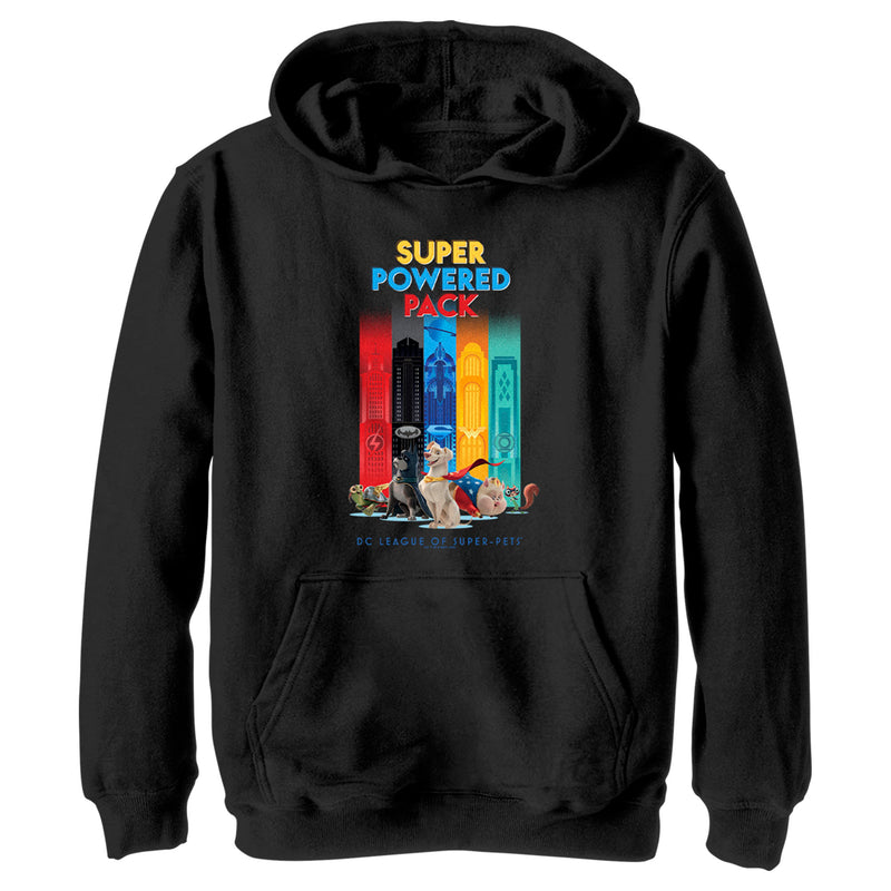 Boy's DC League of Super-Pets Super Powered Pack Pull Over Hoodie