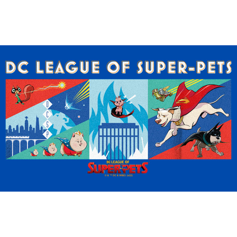 Boy's DC League of Super-Pets Super Pack Panels T-Shirt