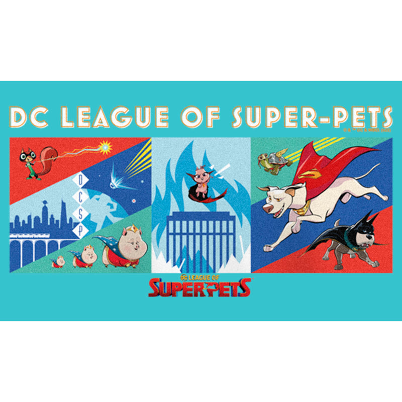 Girl's DC League of Super-Pets Super Pack Panels T-Shirt