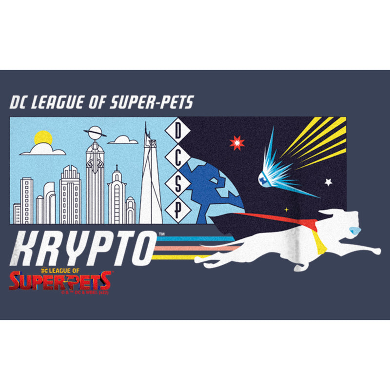 Boy's DC League of Super-Pets Krypto Meteor T-Shirt