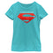 Girl's DC League of Super-Pets Skyline Superman Crest T-Shirt