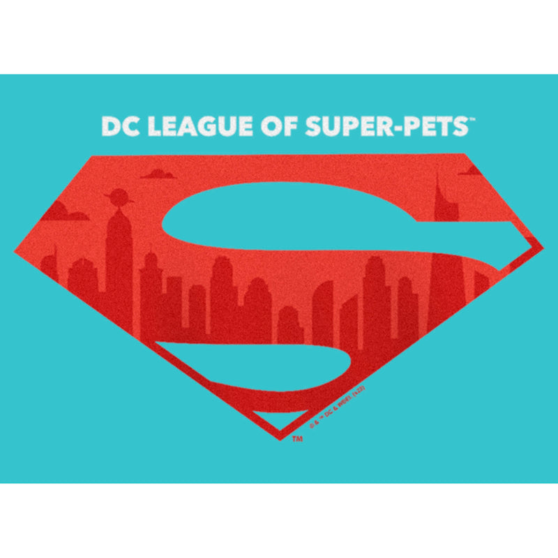 Girl's DC League of Super-Pets Skyline Superman Crest T-Shirt