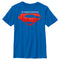 Boy's DC League of Super-Pets Skyline Superman Crest T-Shirt