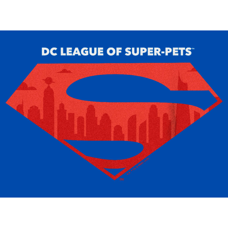 Boy's DC League of Super-Pets Skyline Superman Crest T-Shirt