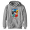 Boy's DC League of Super-Pets Activate Group Panels Pull Over Hoodie
