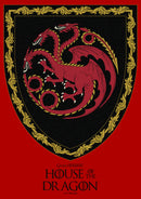 Junior's Game of Thrones: House of the Dragon Targaryen Crest T-Shirt