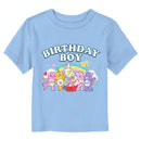 Toddler's Care Bears Birthday Boy Celebration T-Shirt