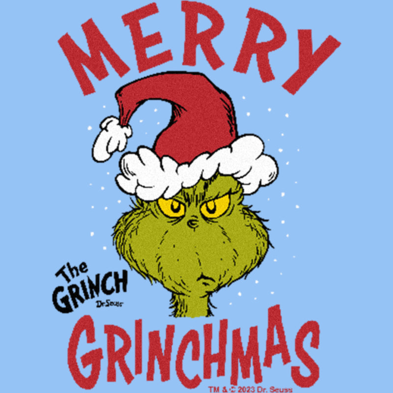 https://fifthsun.com/cdn/shop/files/23drse00068b-004-grinchmas-hat-66-278-swatch_800x.jpg?v=1699439209