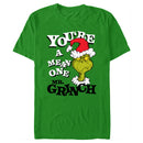 Men's Dr. Seuss Christmas Grinch You're a Mean One Portrait T-Shirt