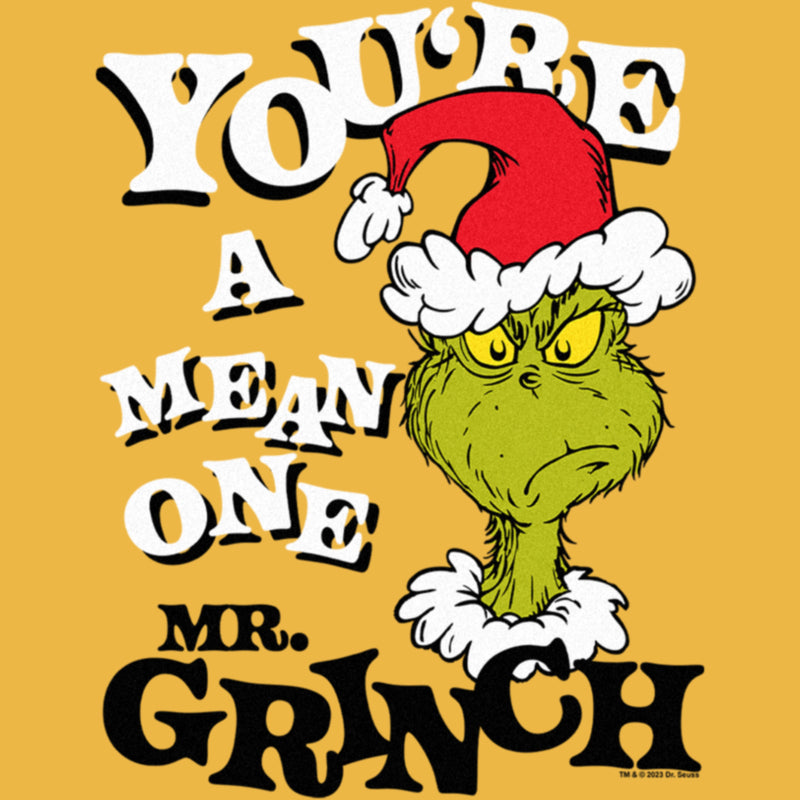 Junior's Dr. Seuss Christmas The Grinch You're a Mean One Portrait T-S –  Fifth Sun