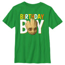Boy's Guardians of the Galaxy Birthday Boy Groot T-Shirt