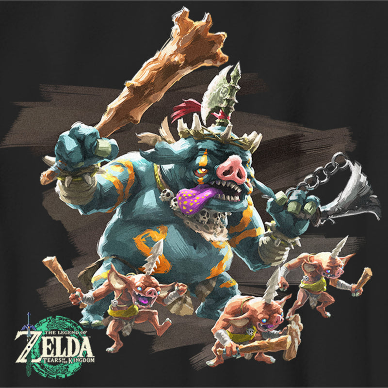 Zelda Universe on X: New official artwork of Link & the Bokoblins from The  Legend of Zelda: Tears of the Kingdom!  / X