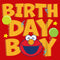 Boy's Sesame Street Birthday Boy Elmo T-Shirt