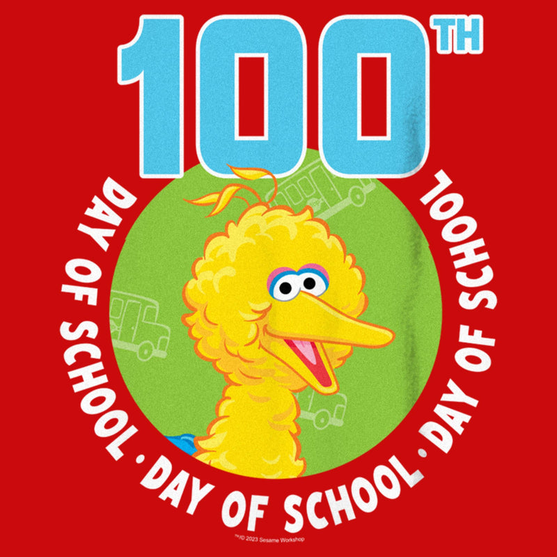 Boy's Sesame Street Big Bird 100th Day of School T-Shirt