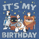 Boy's Star Wars It's My Birthday Friends Pull Over Hoodie