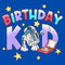 Boy's Star Wars Birthday Kid R2-D2 Party T-Shirt