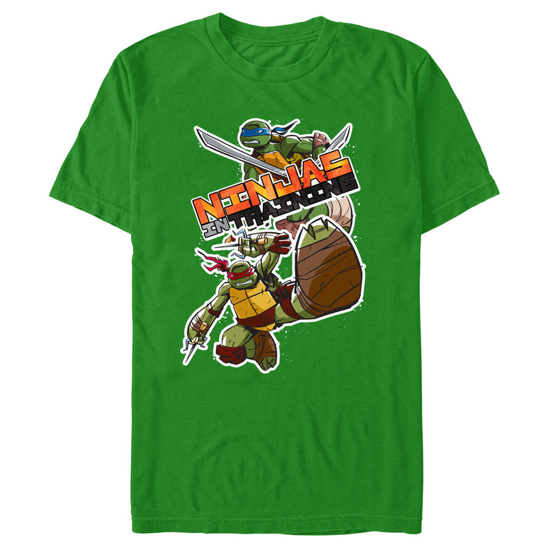 Men's Teenage Mutant Ninja Turtles Leonardo and Raphael Ninjas in Training T-Shirt