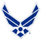 Boy's United States Air Force Wings Logo T-Shirt