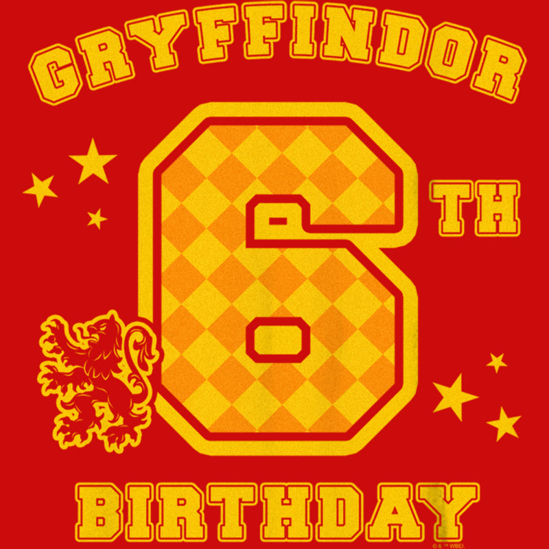 Boy's Harry Potter Gryffindor 6th Birthday T-Shirt