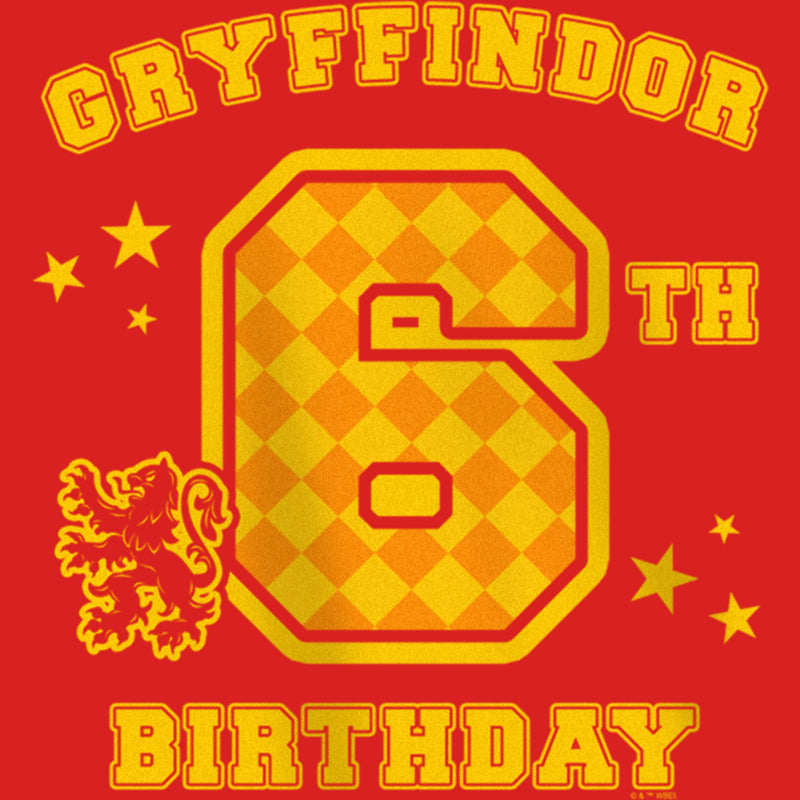 Girl's Harry Potter Gryffindor 6th Birthday T-Shirt