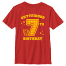 Boy's Harry Potter Gryffindor 7th Birthday T-Shirt