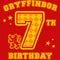 Boy's Harry Potter Gryffindor 7th Birthday T-Shirt