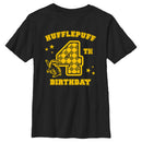 Boy's Harry Potter Hufflepuff 4th Birthday T-Shirt