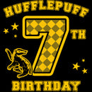 Boy's Harry Potter Hufflepuff 7th Birthday T-Shirt