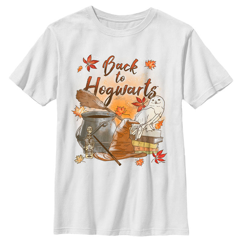 Boy's Harry Potter Chamber of Secrets Hedwig Back to Hogwarts T-Shirt