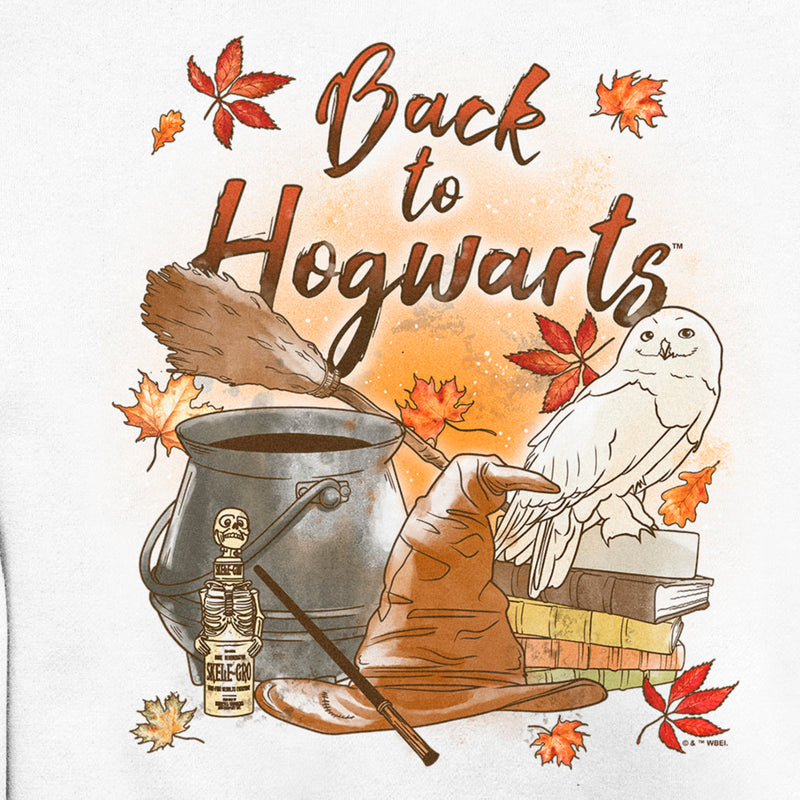 Men's Harry Potter Chamber of Secrets Hedwig Back to Hogwarts Sweatshirt