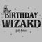 Men's Harry Potter Distressed Birthday Wizard T-Shirt