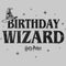 Men's Harry Potter Distressed Birthday Wizard Tank Top