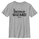 Boy's Harry Potter Distressed Birthday Wizard T-Shirt