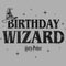 Boy's Harry Potter Distressed Birthday Wizard T-Shirt