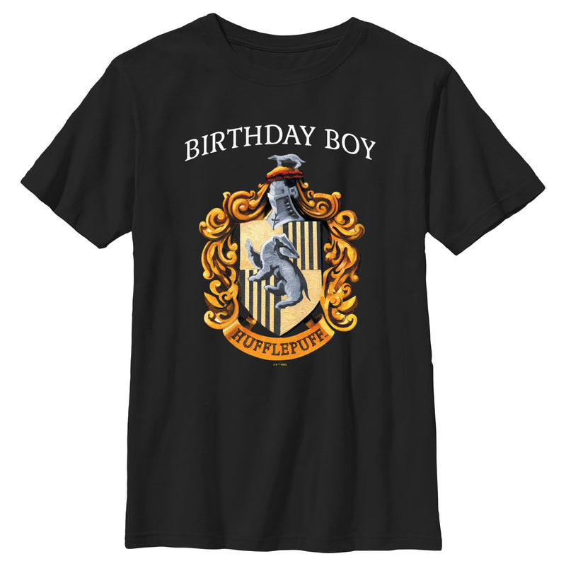 Boy's Harry Potter Hufflepuff Birthday Boy T-Shirt