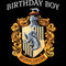 Boy's Harry Potter Hufflepuff Birthday Boy T-Shirt