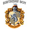 Junior's Harry Potter Hufflepuff Crest Birthday Boy T-Shirt