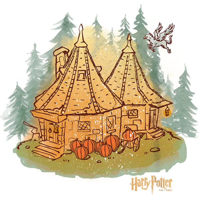 Boy's Harry Potter Hagrid's Hut Fall T-Shirt