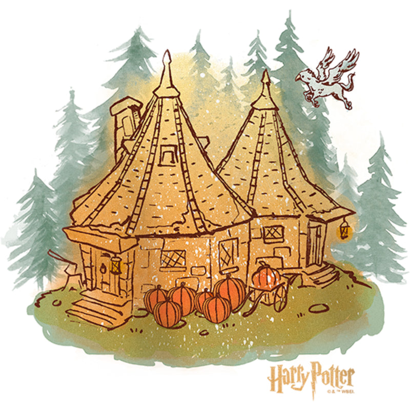 Girl's Harry Potter Hagrid's Hut Fall T-Shirt