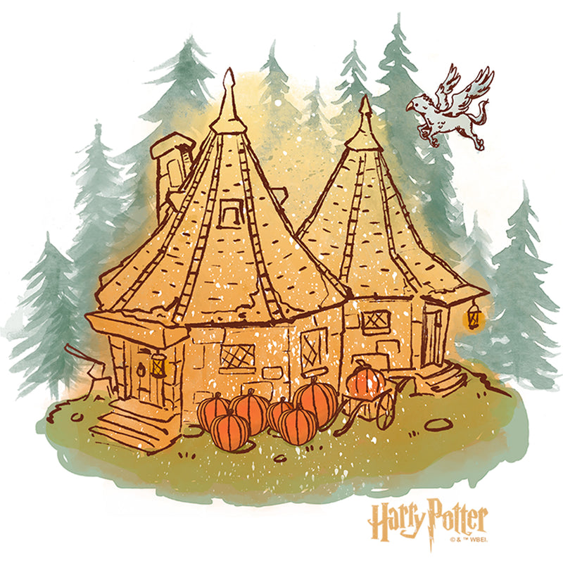 Men's Harry Potter Hagrid's Hut Fall Sweatshirt