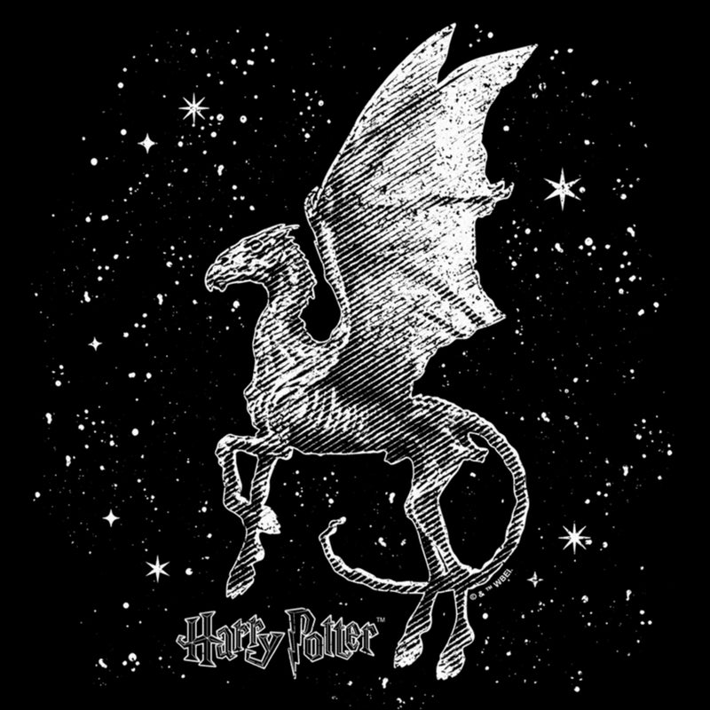 Men's Harry Potter Black and White Thestral T-Shirt