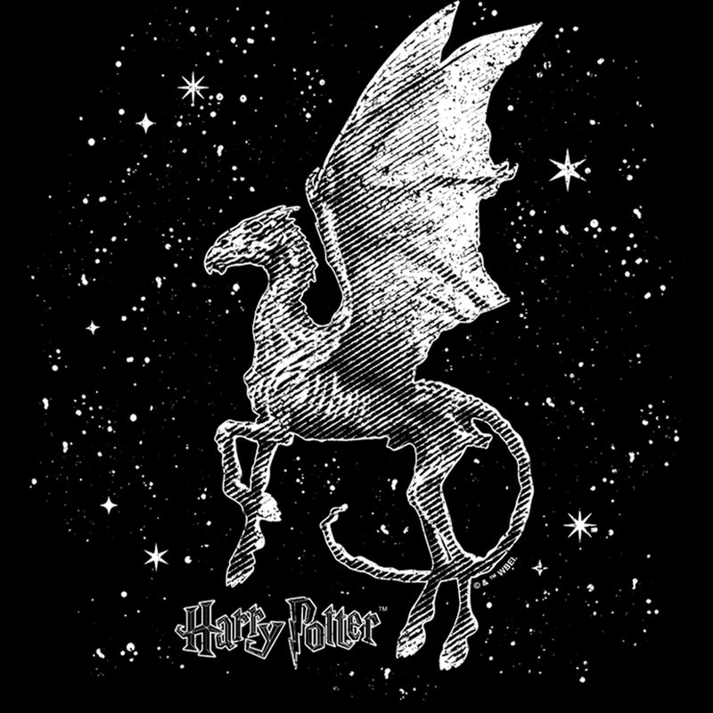 Junior's Harry Potter Black and White Thestral Sweatshirt