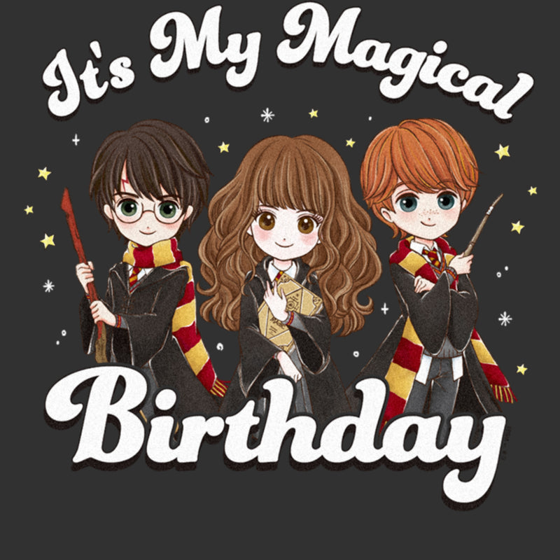 Men's Harry Potter It’s My Magical Birthday Cute Characters T-Shirt