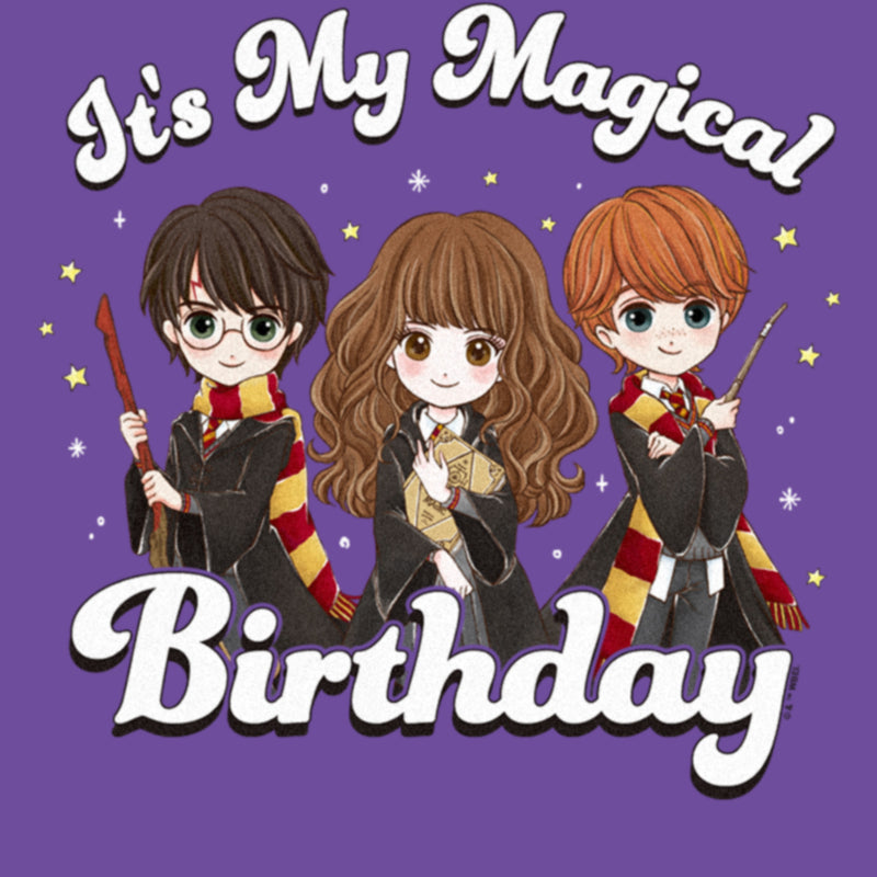 Junior's Harry Potter It’s My Magical Birthday Cute Characters T-Shirt