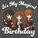 Boy's Harry Potter It’s My Magical Birthday Cute Characters T-Shirt