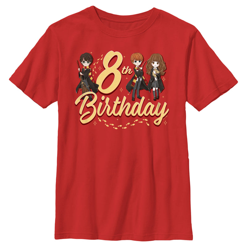 Boy's Harry Potter 8th Birthday Friends T-Shirt